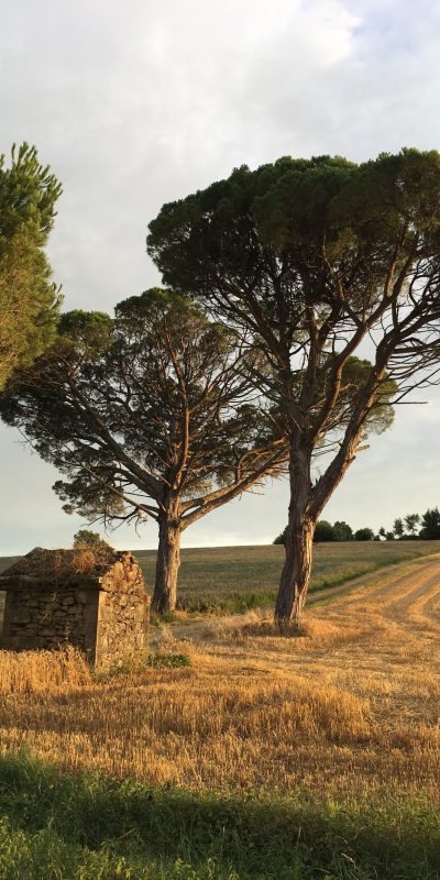 maisons-hotes-pause-time-campagne-16